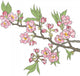 Japanese flowering cherry Wall Decal