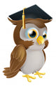 Graduate Owl Wall Decal
