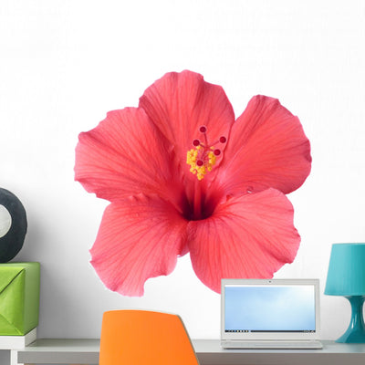 Pink Tropical Hibiscus Flower Wall Decal shown on a wall