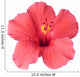 Tropical Hibiscus Wall Decal