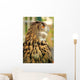 Owl Wall Mural