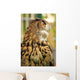 Owl Wall Mural