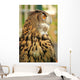 Owl Wall Mural