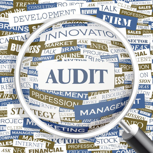 Audit Word Cloud Concept