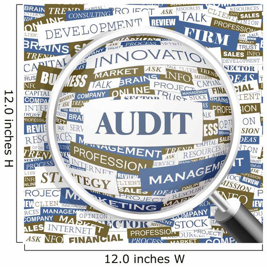 Audit Word Cloud Concept