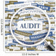 Audit Word Cloud Concept