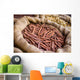 Cinnamon and Other Spices