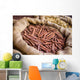 Cinnamon and Other Spices