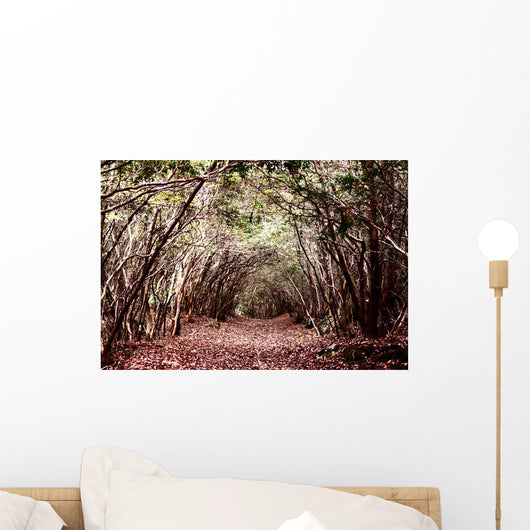 Forest Aokigahara
