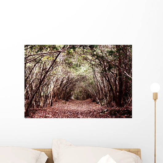 Forest Aokigahara
