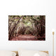 Forest Aokigahara