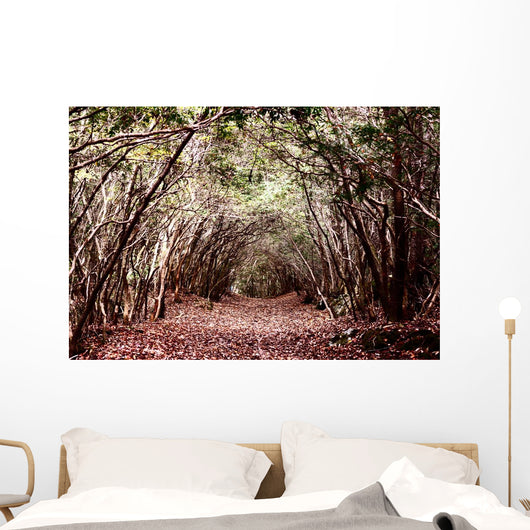 Forest Aokigahara