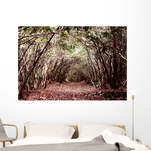 Forest Aokigahara