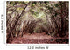 Forest Aokigahara