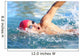 Man Swimmer Swimming Crawl