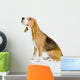 Beagle Dog Looking Away