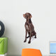 German Shorthaired Pointer Kurzhaar