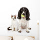 Dog and Cat Looking