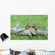 Gray Wolf Cubs Palying on Fallen Log Wall Mural