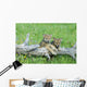 Gray Wolf Cubs Palying on Fallen Log Wall Mural
