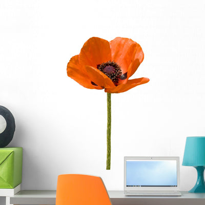 Open Poppy Flower Wall Decal shown on a wall