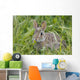 Wild Rabbit Looking You Wall Mural