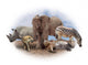 african animals Wall Decal