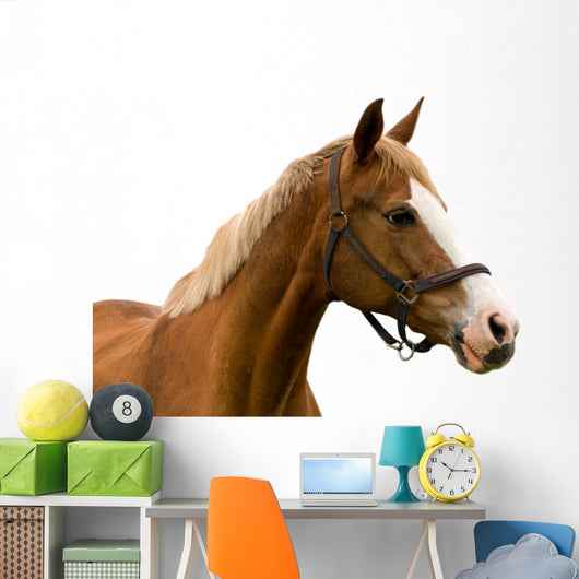 Horse White