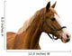 Horse White