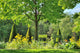 Green Park