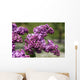 Lilac Wall Mural