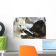 Gray Wolves Wall Mural