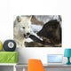 Gray Wolves Wall Mural