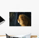 Lion Wall Mural