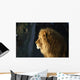 Lion Wall Mural