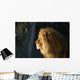 Lion Wall Mural