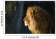 Lion Wall Mural