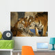 Nice Tigers Wall Mural