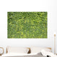 Ivy Leaves White Wall Mural