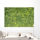 Ivy Leaves White Wall Mural
