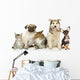Cats and Dogs Wall Decal