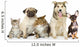 Cats and Dogs Wall Decal