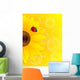 Sunflower and ladybird on yellow background. Wall Mural