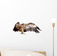 Vulture Griffon
