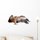 Vulture Griffon