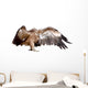 Vulture Griffon