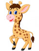 Cute Baby Giraffe Wall Decal