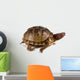 Three-toed Box Turtle Terrapene Wall Mural