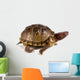 Three-toed Box Turtle Terrapene Wall Mural