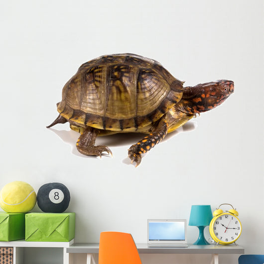 Three-toed Box Turtle Terrapene Wall Mural
